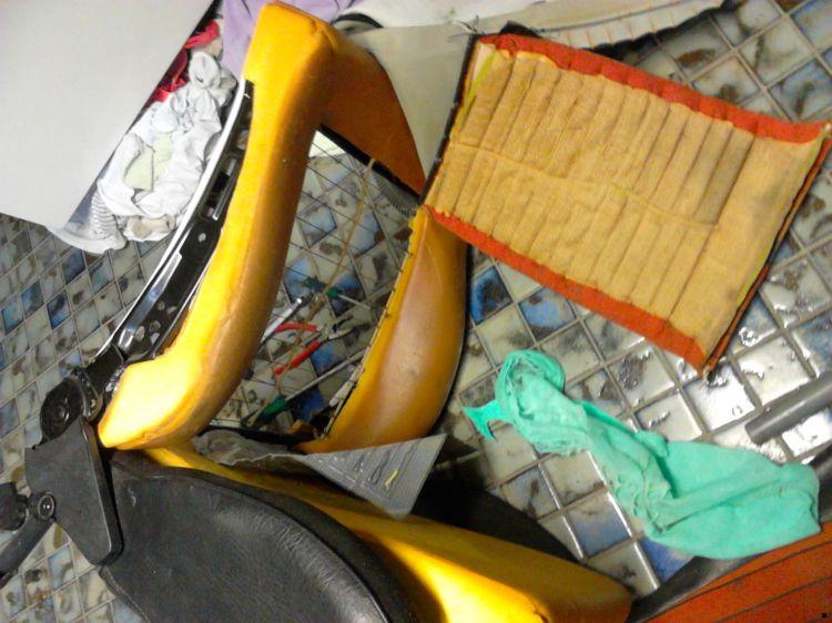 Bild