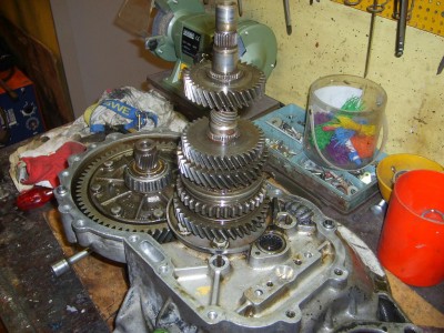 S6000570.JPG